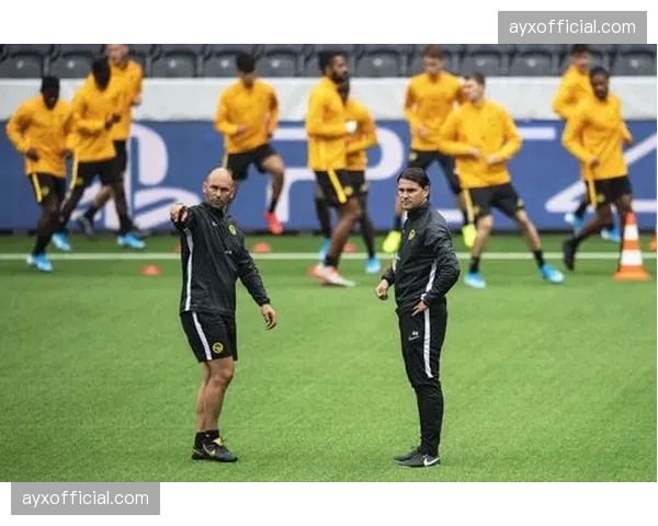 足球已进入“算法时代”?大数据在欧冠赛前备战中的角色与争议 足球已进入“算法时代”?大数据在欧冠赛前备战中的角色与争议